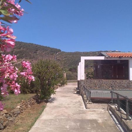 Open Space A Due Passi Dal Mare Isola di Ustica Εξωτερικό φωτογραφία